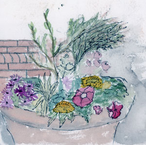 watercolor of a flower planter outside coffee shop