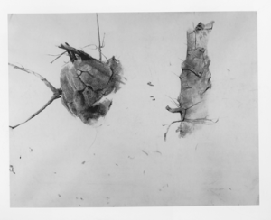 Andrew-Wyeth-Winter-bees-300