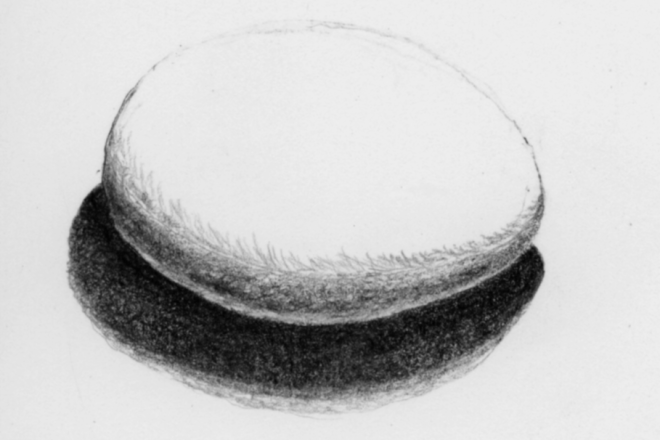 Drawing of egg, lit from above.