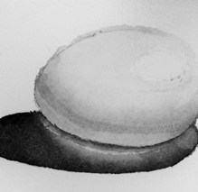 Black and white watercolor egg