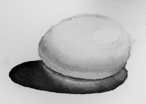 Black and white watercolor egg