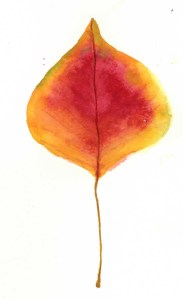 Leaves Red and Yellow img003