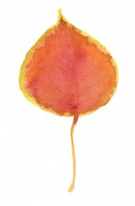 Leaves yellow and red img001