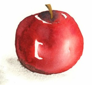 Apple-1-300-H-img069-1